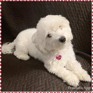 Meet your Posher, Silvia